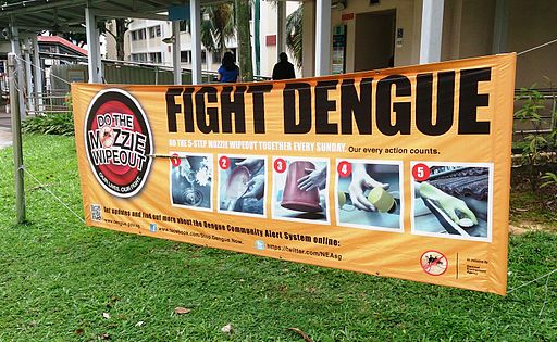 Dengue_fever_banner_(fight_dengue)
