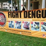 Dengue Hemorrhagic Fever: Hopes for an Effective Vaccine?