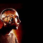 Alzheimer's Disease and Brain Immune Responses