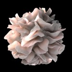 Dendritic Cells: Teaching Tolerance to T Lymphocytes